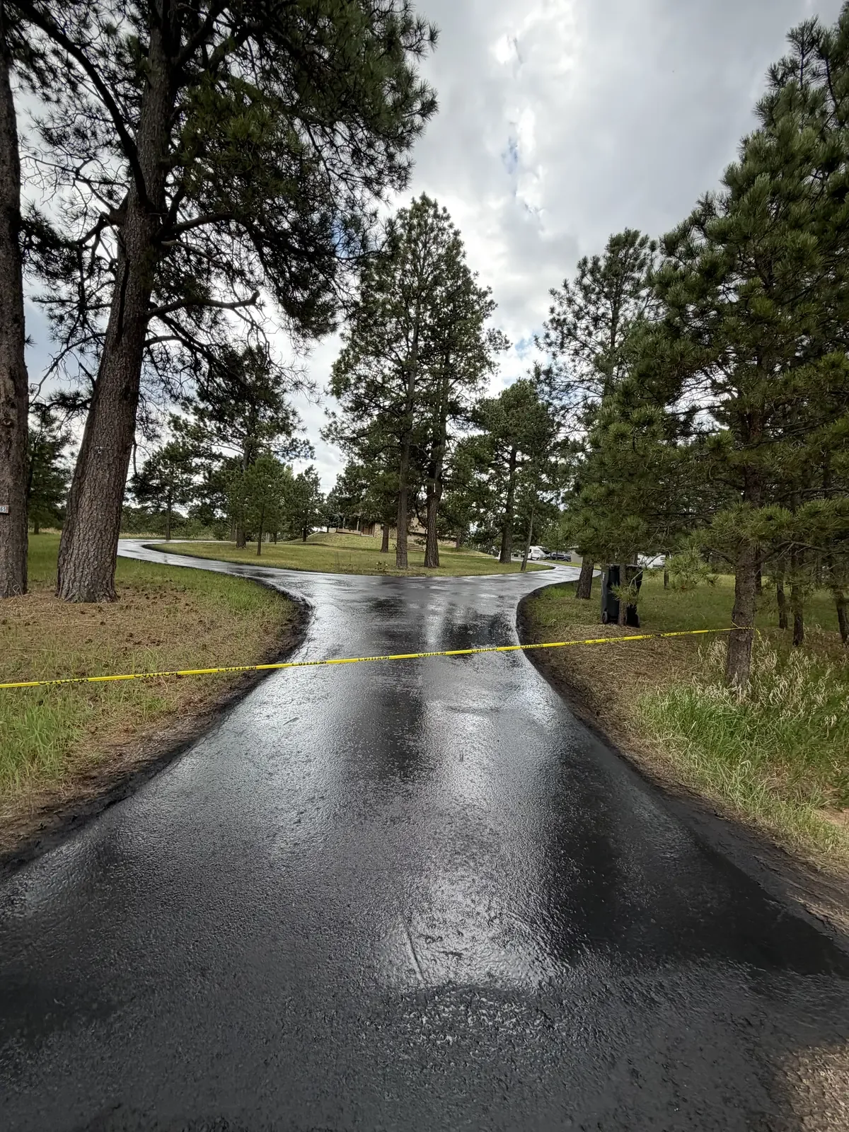 Seal coated driveway drying between tall pines — near Calhan, CO