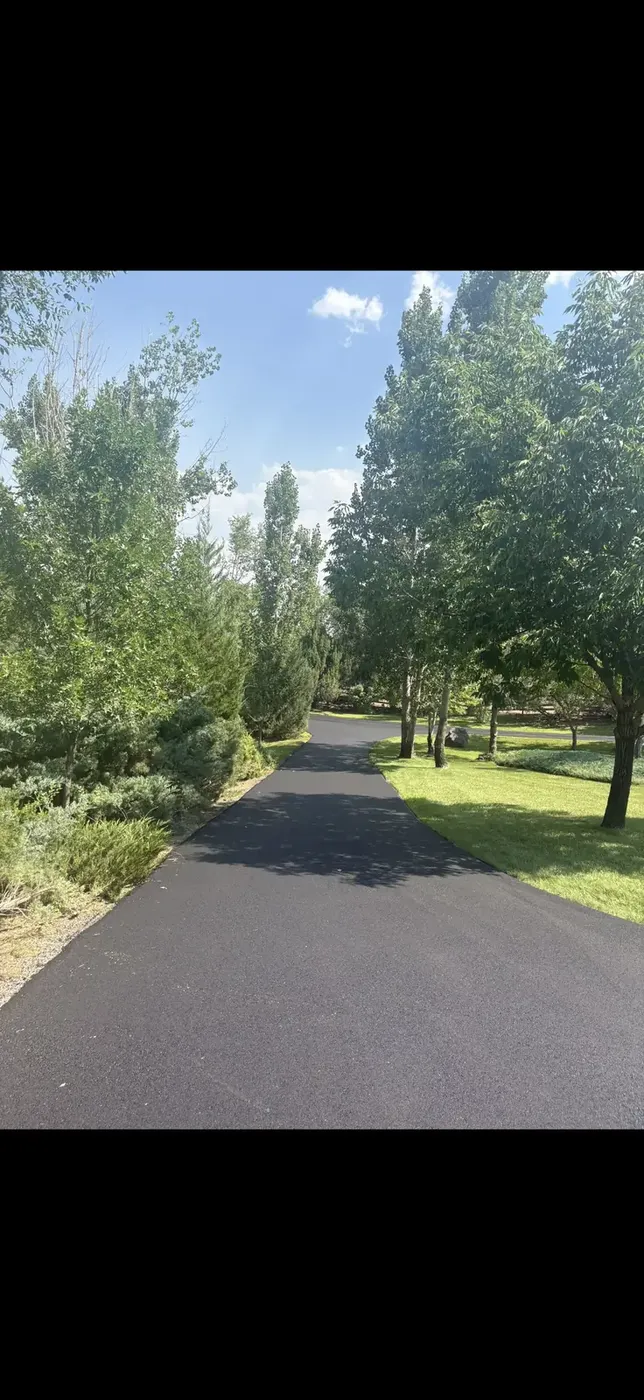 Fresh black asphalt driveway shaded by cottonwood trees