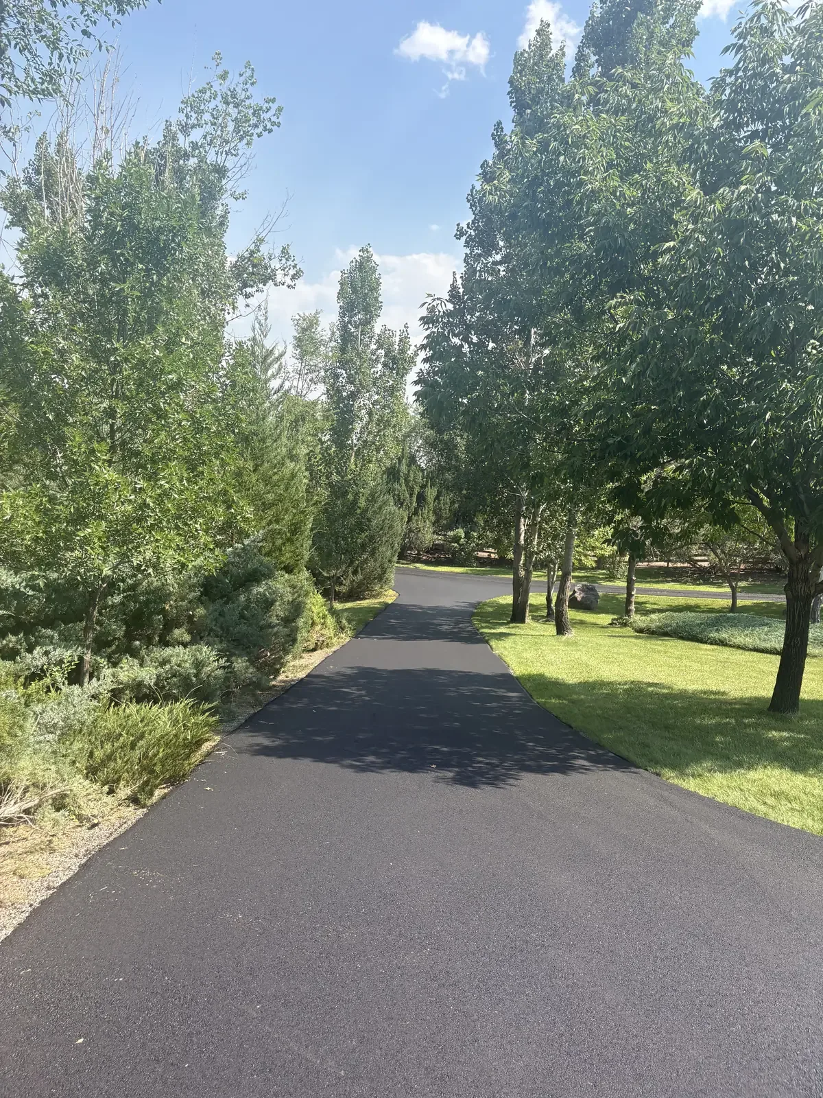 Tree lined asphalt driveway freshly compacted — near Larkspur, CO