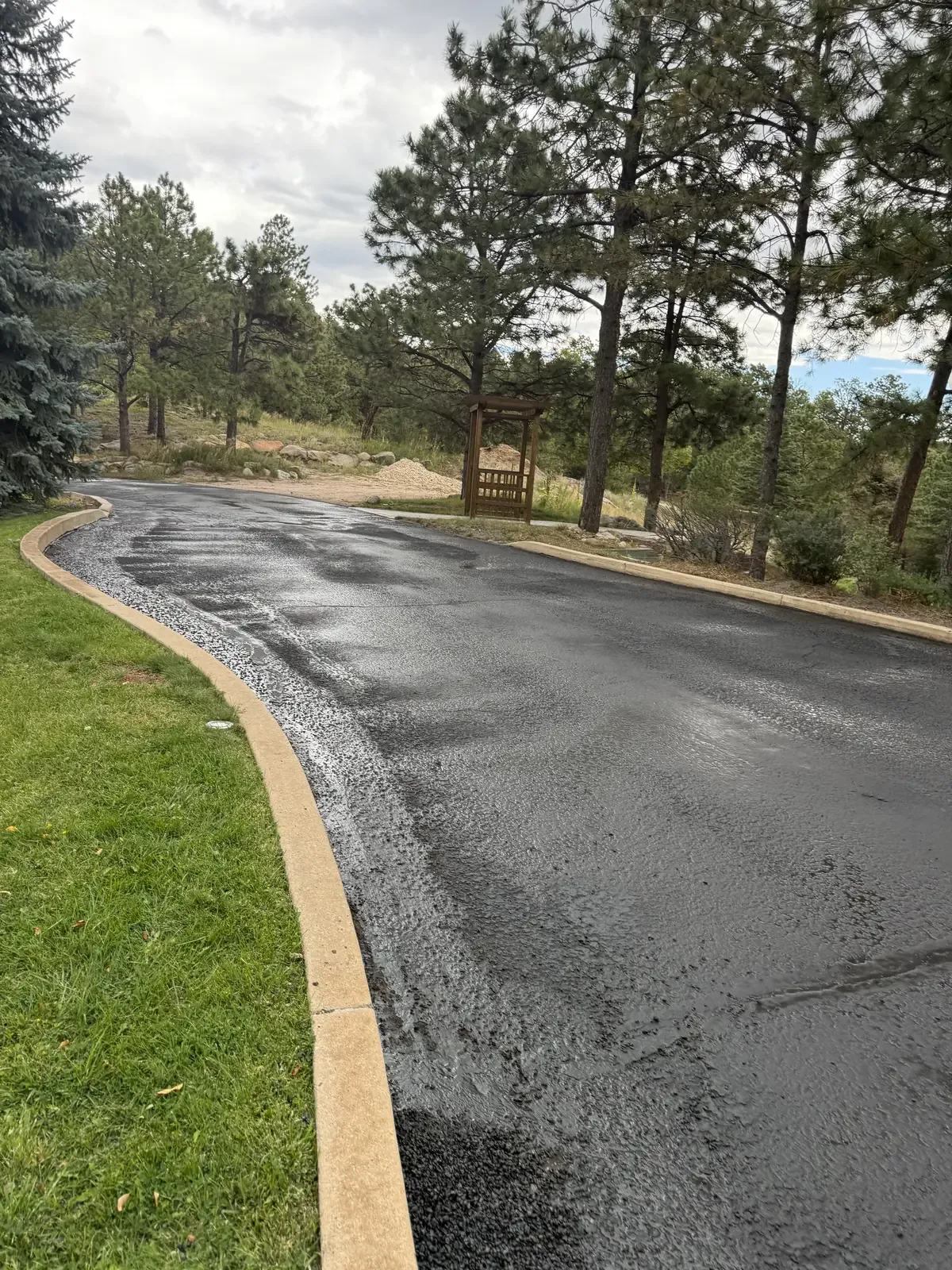 Freshly paved driveway with crisp curb line and pine trees — near Security-Widefield, CO