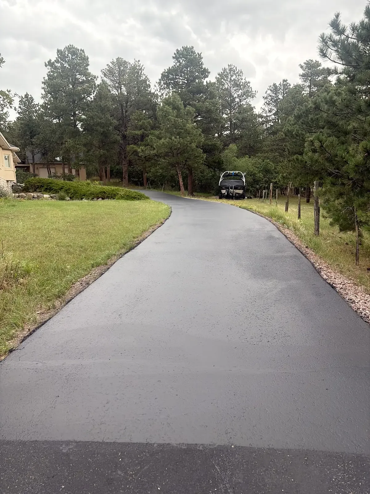 Long smooth asphalt driveway lined with pine and pasture — near Kiowa, CO