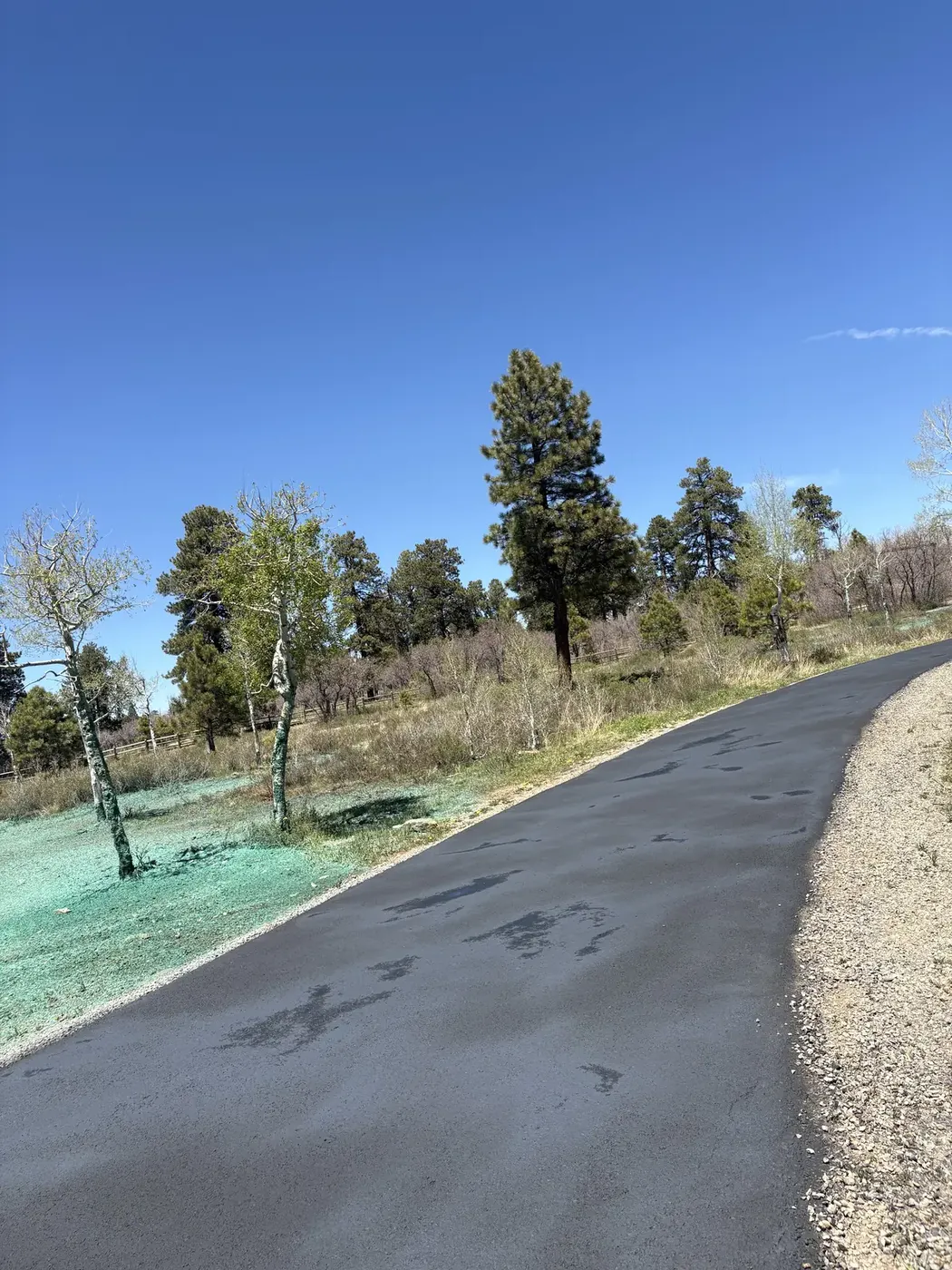 Sealed driveway alongside freshly hydroseeded ground