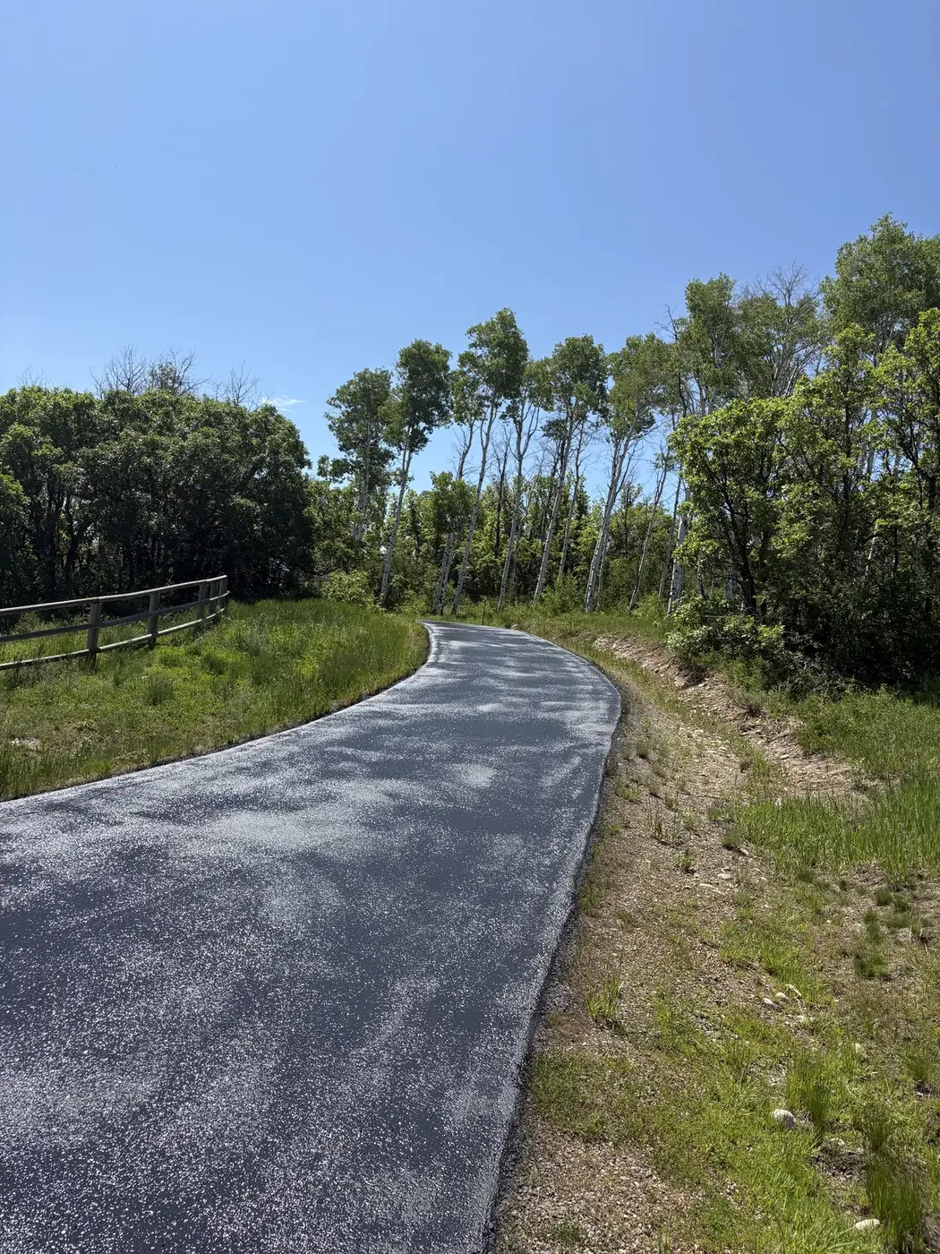 New asphalt driveway curving along the edge of a meadow