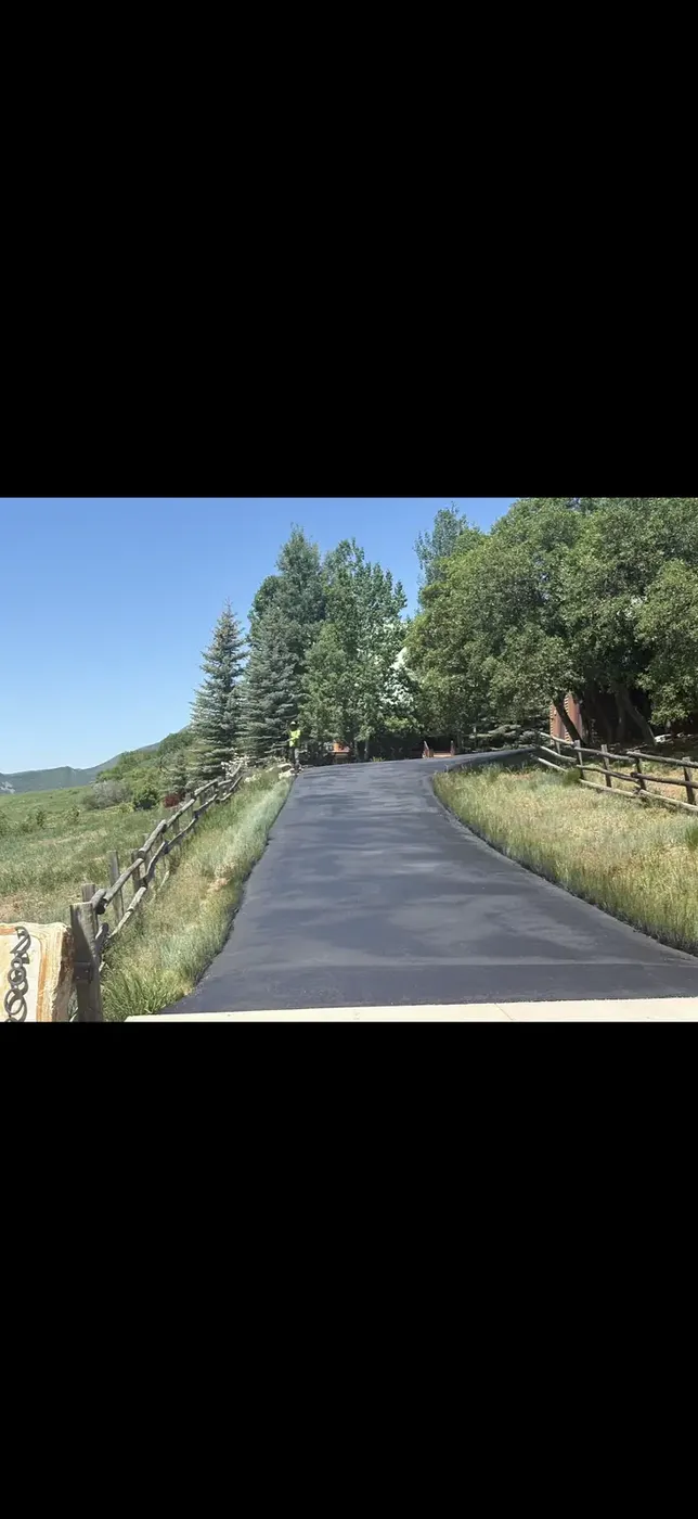New asphalt driveway running between pines and open meadow