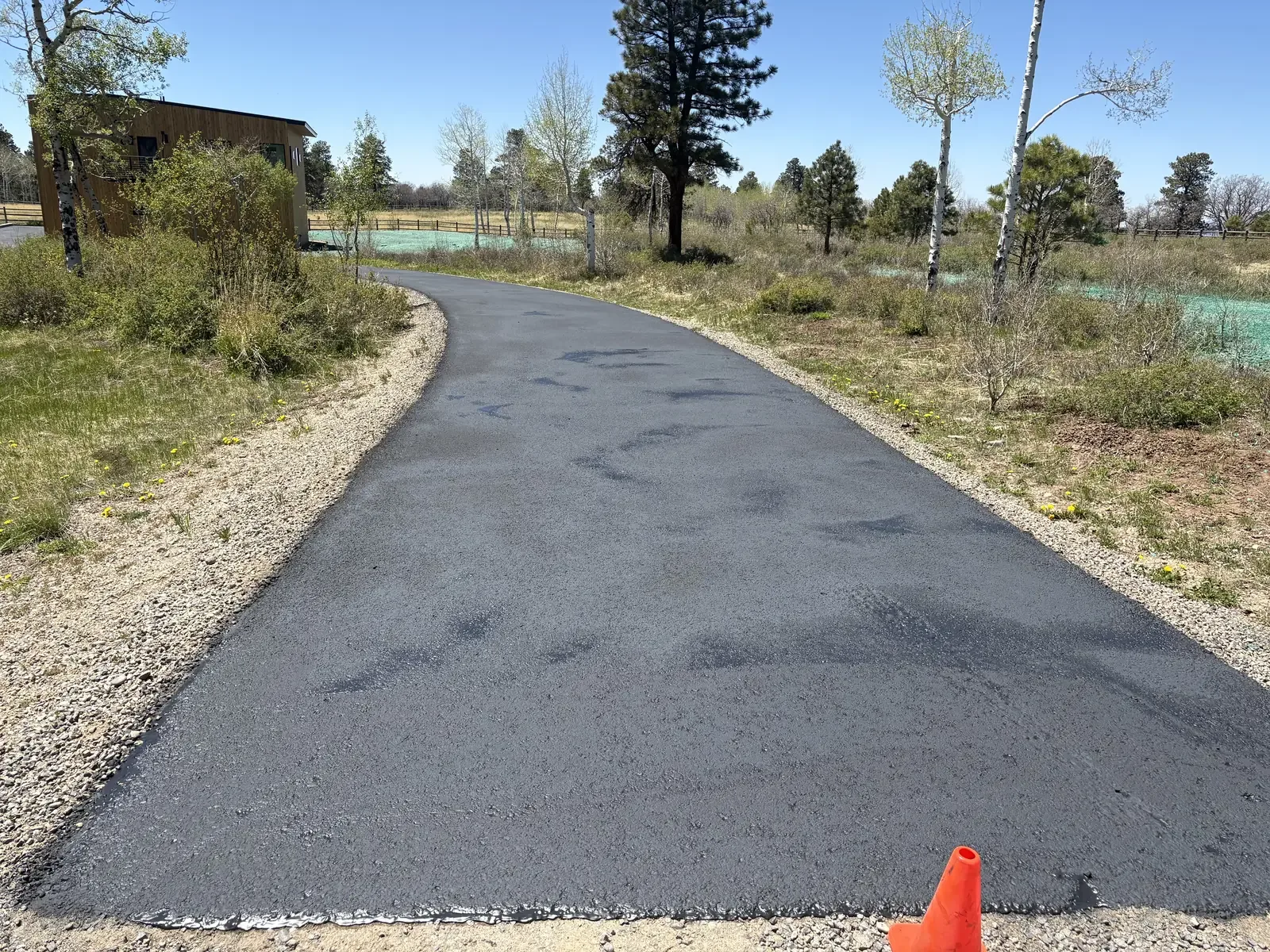 New asphalt driveway with gravel shoulders through the pines