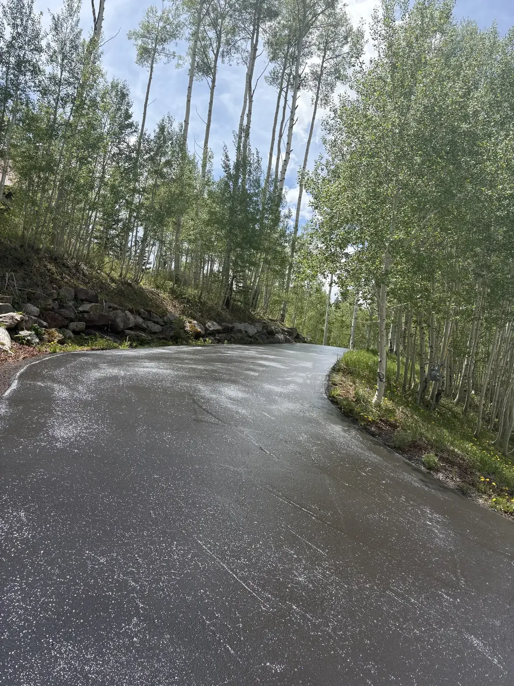 Wet seal coat curing on a driveway through the aspens