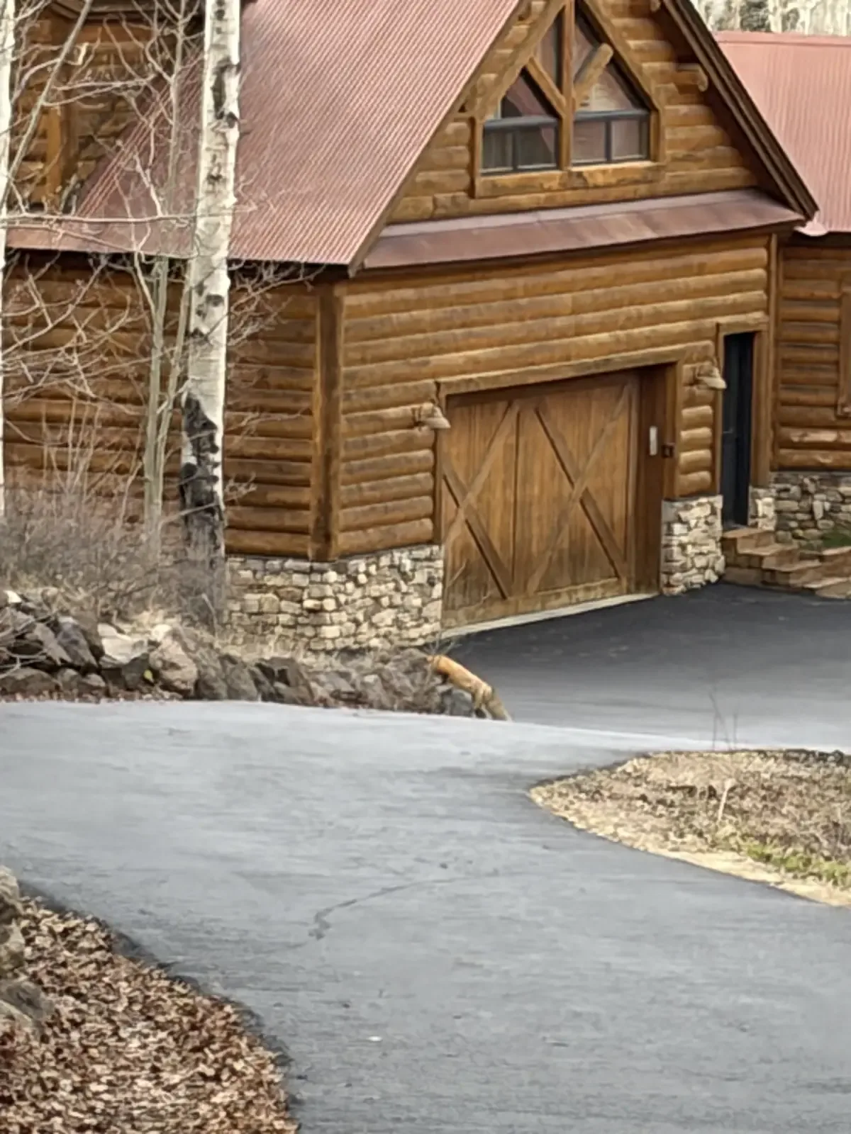 New asphalt approach and apron at a log home garage — near Monument, CO