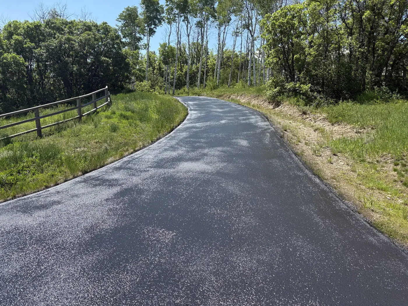 Fresh asphalt driveway curving through an aspen grove