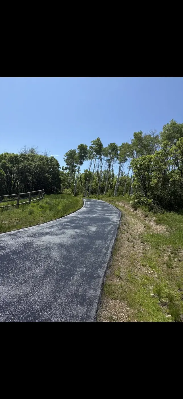 Freshly compacted driveway climbing a hill lined with trees