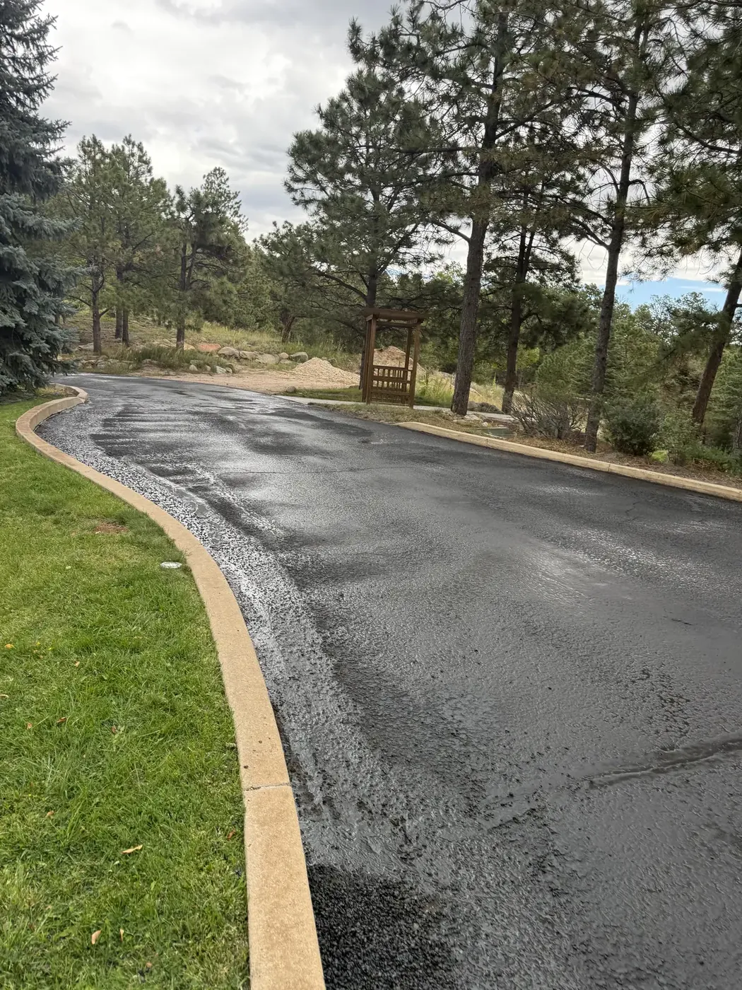 New asphalt drive with a curb line running through ponderosa pines